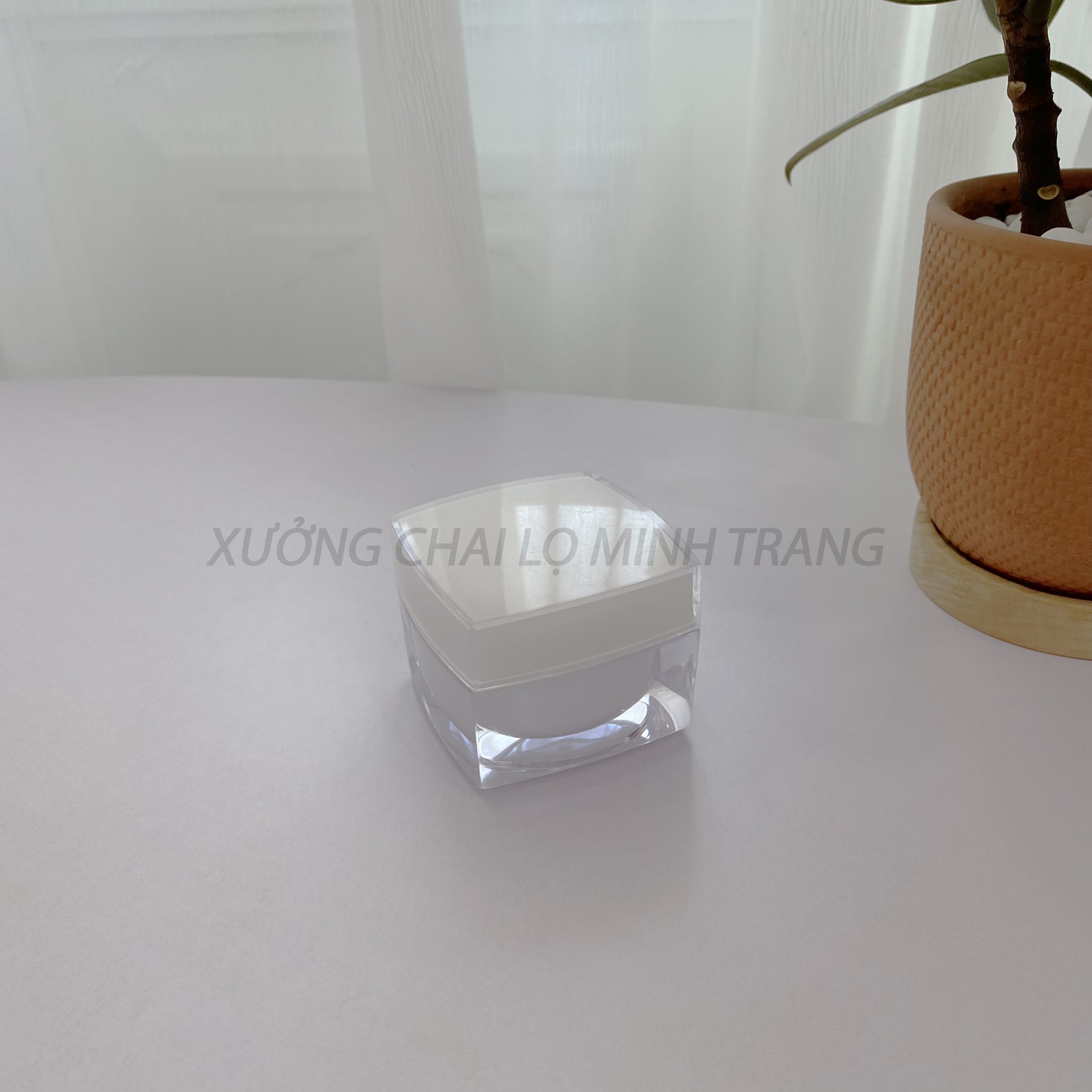 hu-kem-vuong-trang-4